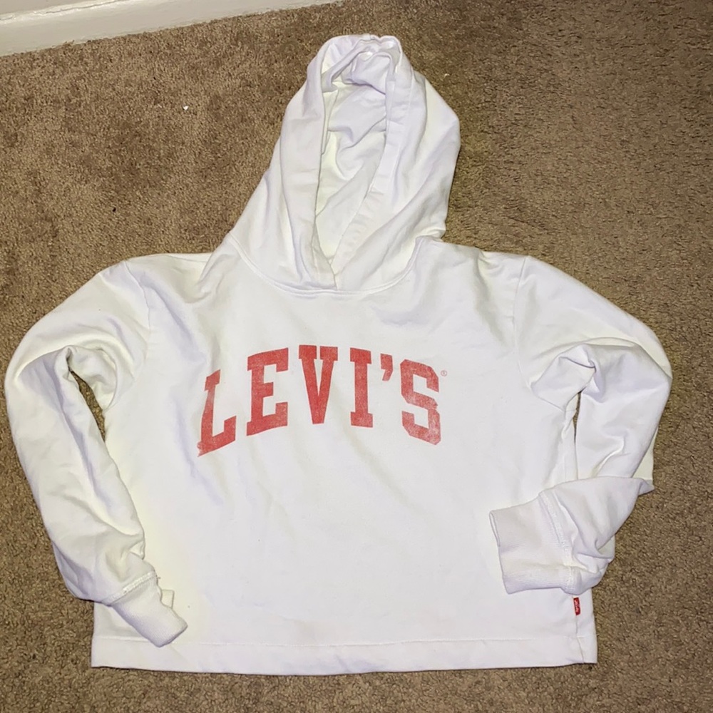 crop hoodie